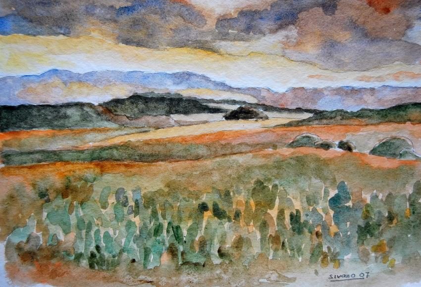 prairie au coucher de soleil