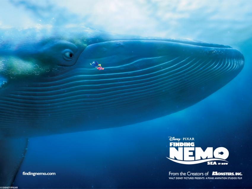 Finding Nemo