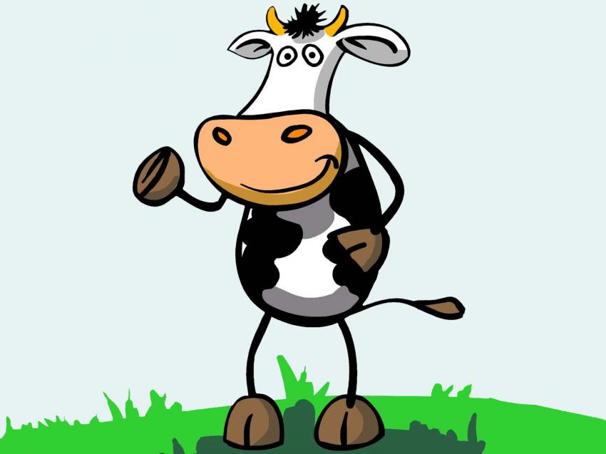 vache