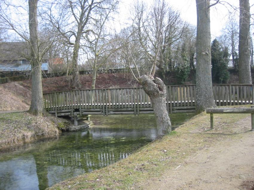 Passerelle  la source de la Somme