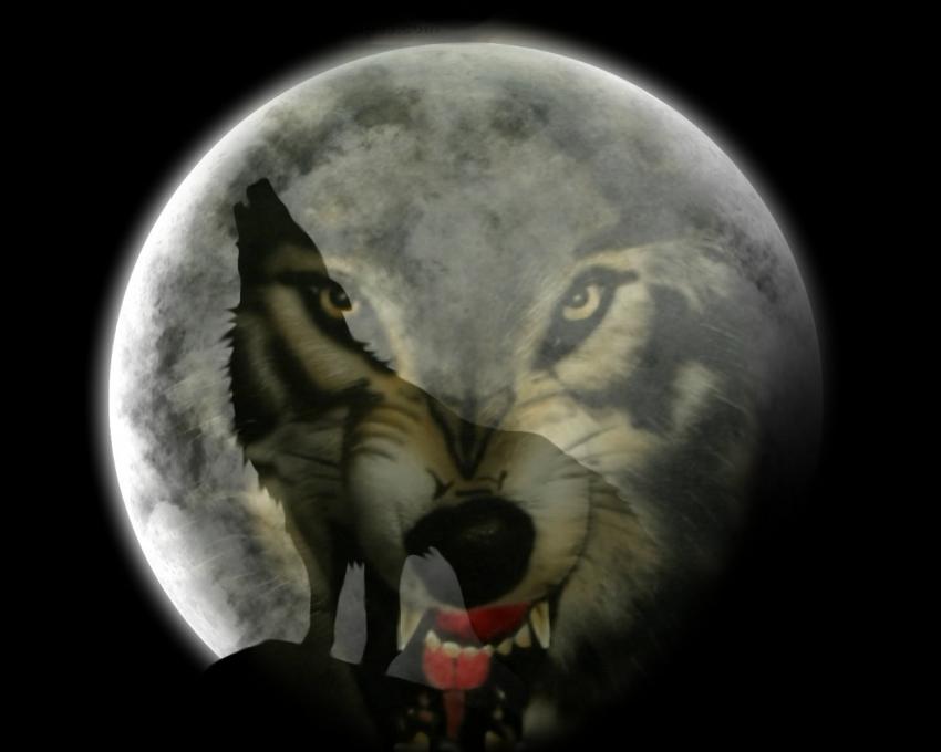 Loup/Lune