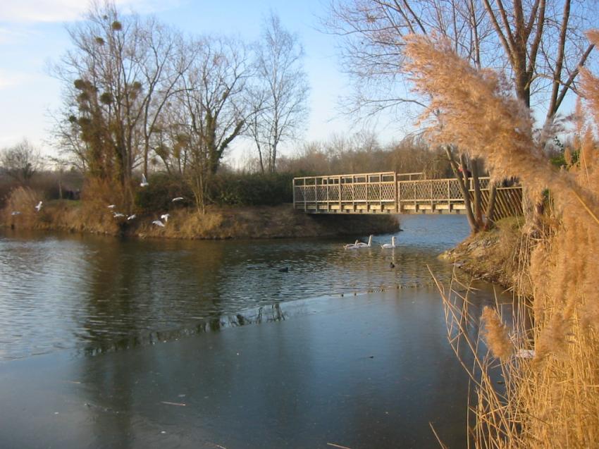 Fin de journe  l'Isle-Adam (95)