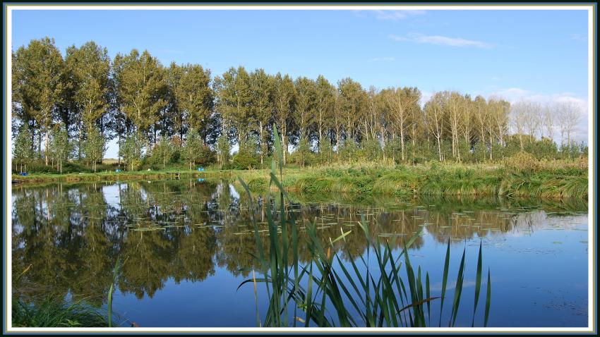 Etang de Clastres (02)