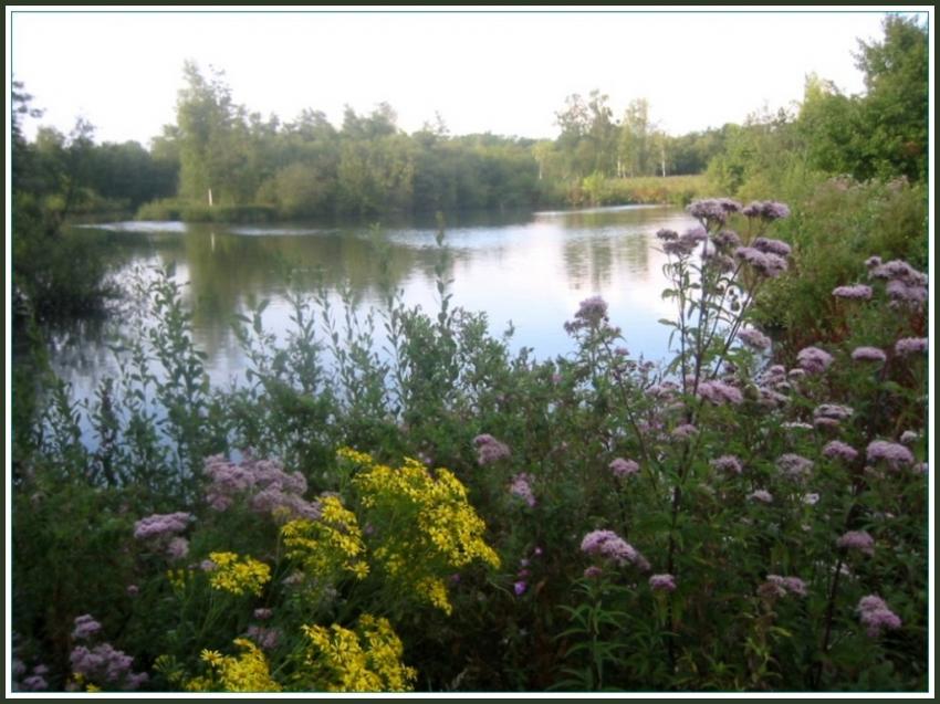 Marais d'Isle  St-Quentin (02)
