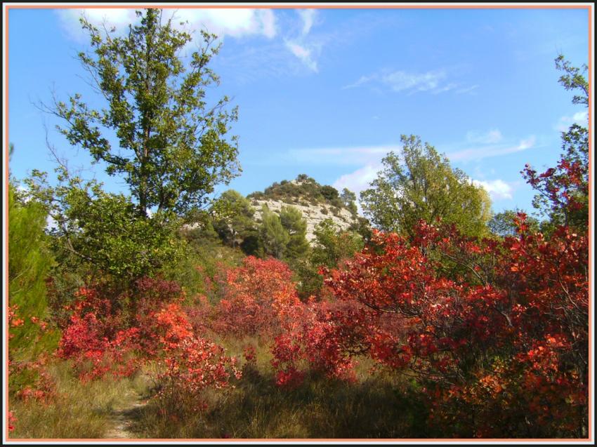 Automne en Provence