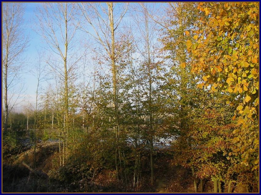 Dernires couleurs de l'automne