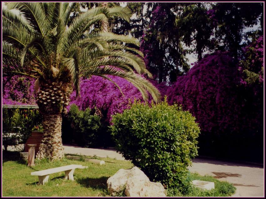 Parc  Corinthe (Grce)