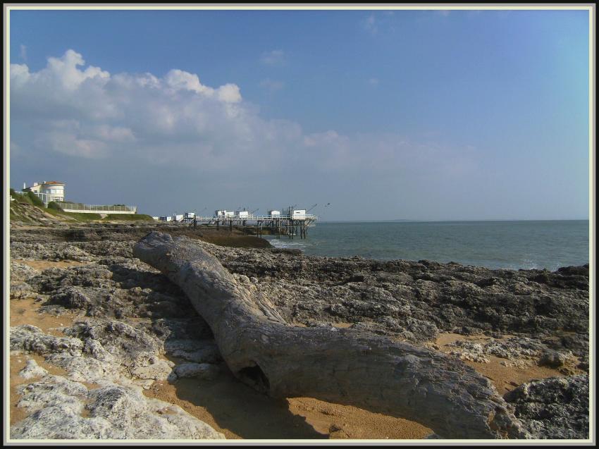 Saint-Palais sur Mer (17)