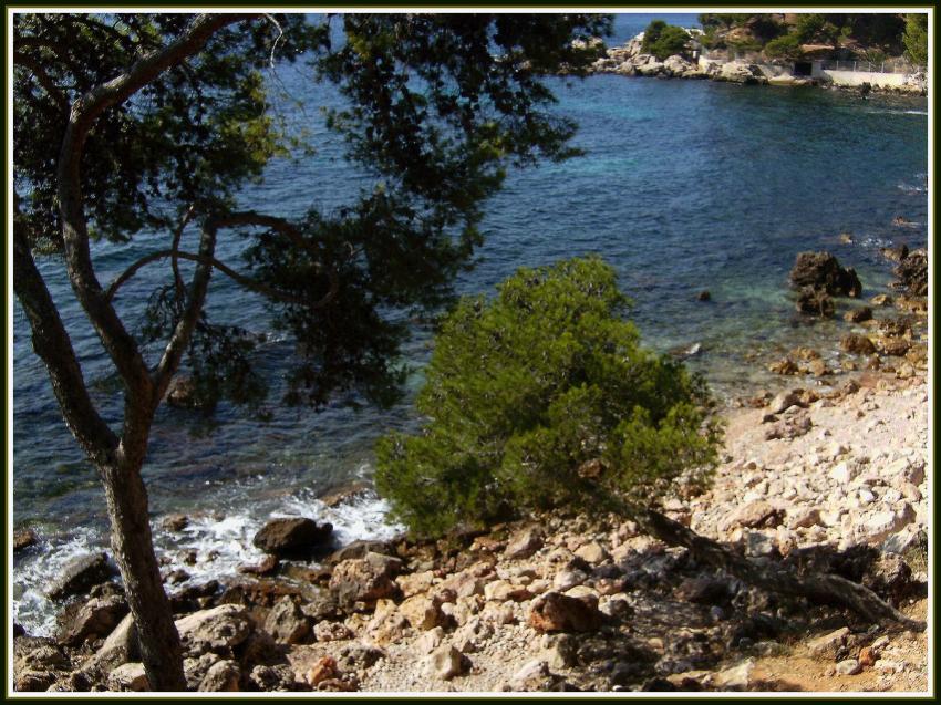 Bandol - Les calanques