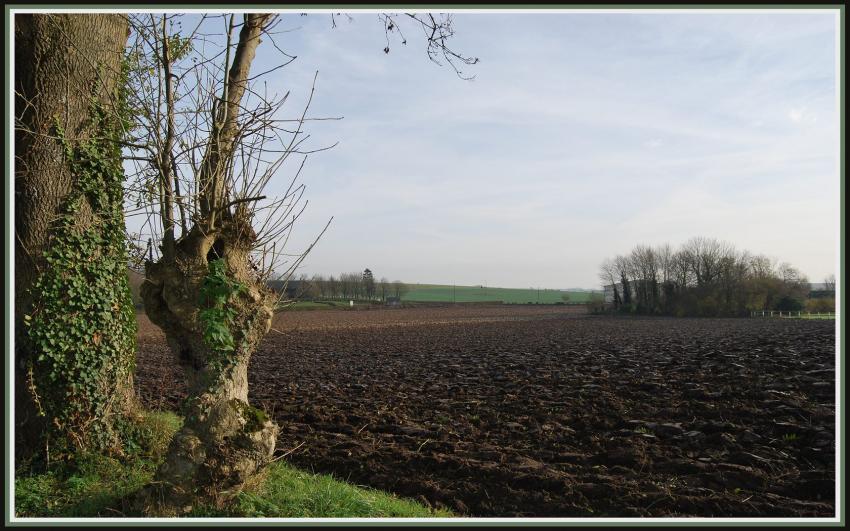 Champ labour en Picardie