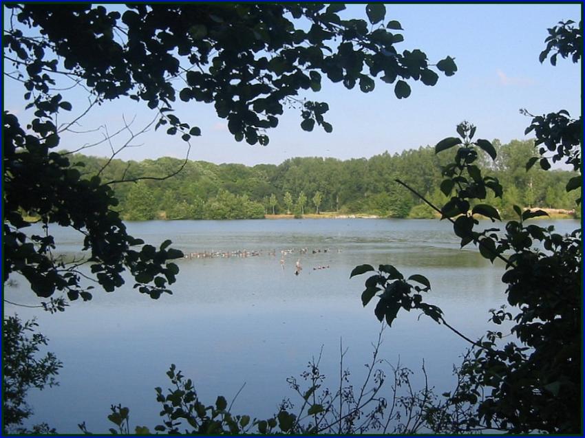 Etang de Vendeuil (02)