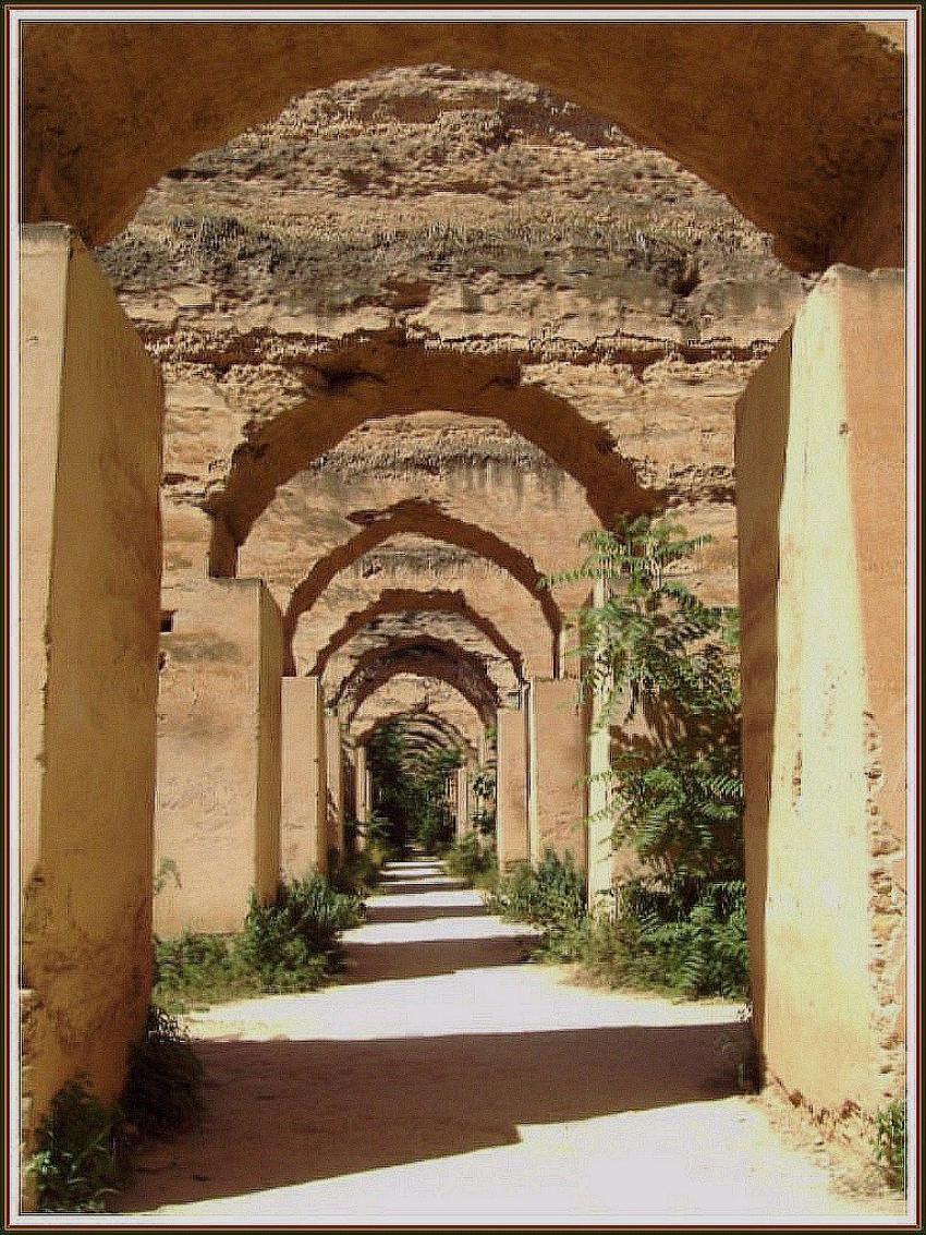 Mekns - Ecuries royales