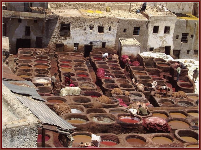 Les Tanneurs de Fs (Maroc)