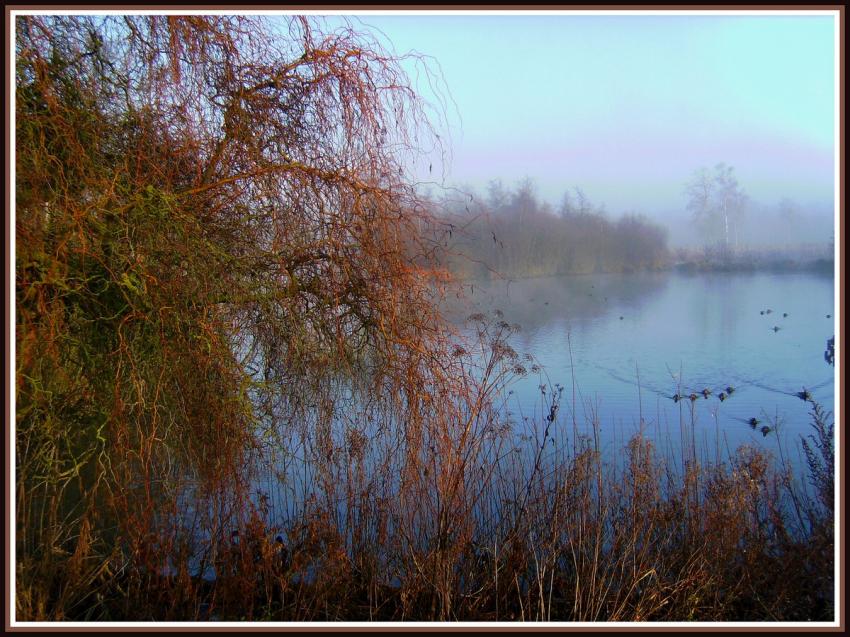 Marais d'Isle  Saint-Quentin (02)