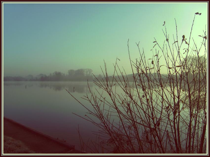 Marais d'Isle  Saint-Quentin (02)