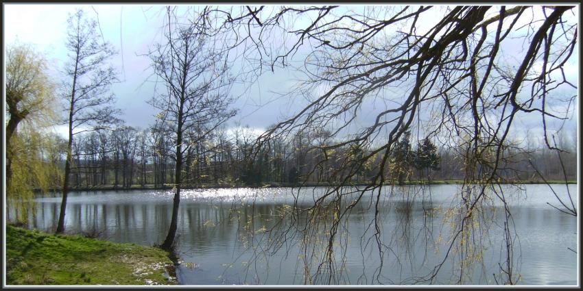 Etang  Sry-les-Mzires (02)