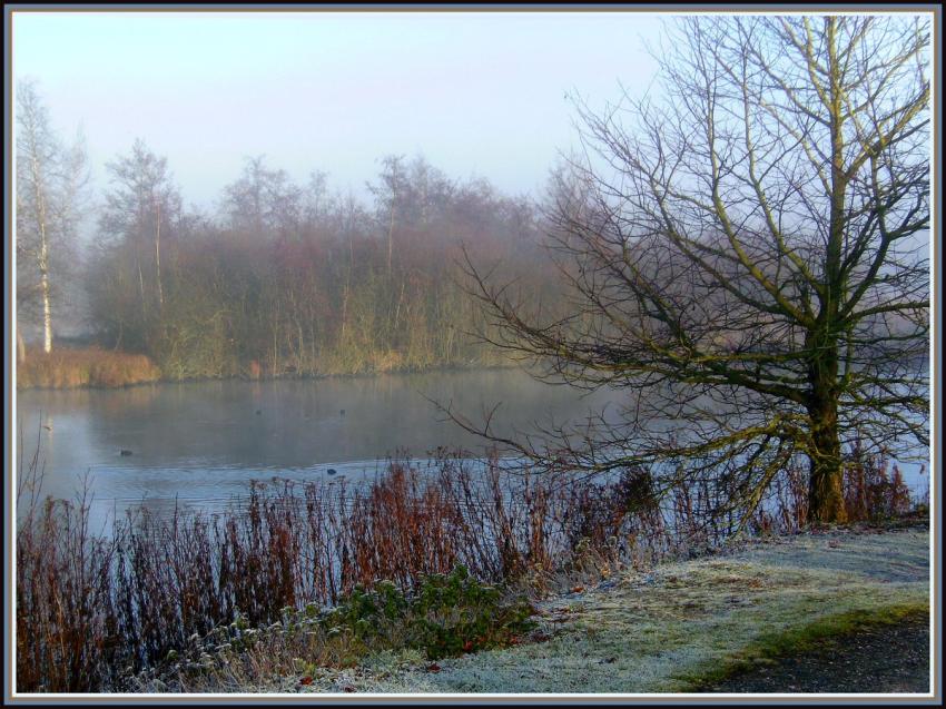 Marais d'Isle  Saint-Quentin (02)