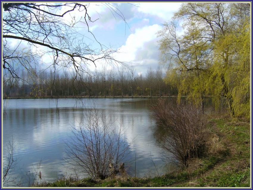 Etang  Sry-les-Mzires (02)