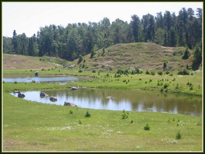 Petits lacs  St-Flicien (Qubec)