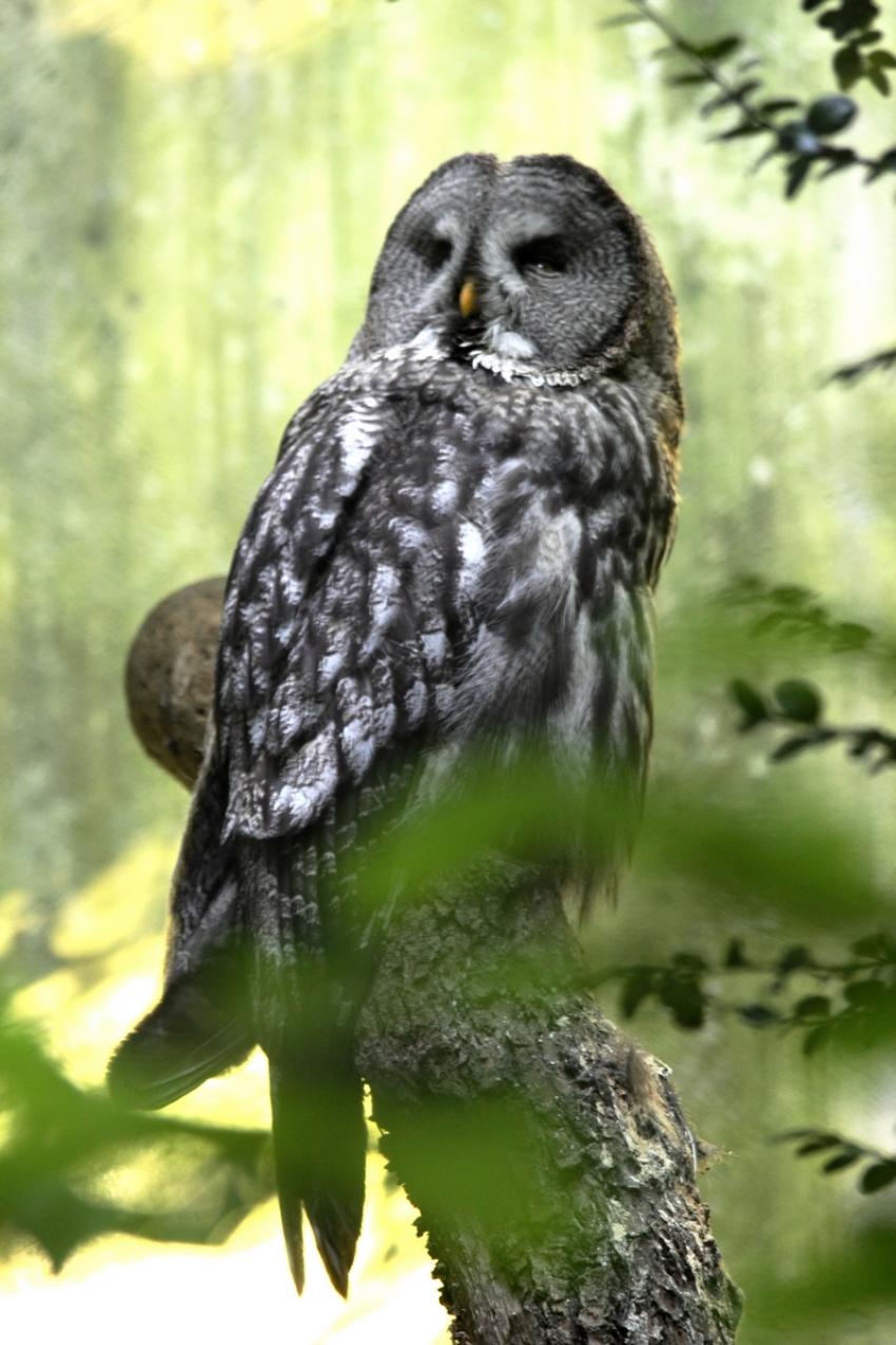 T'as de gros yeux, tu sais ?