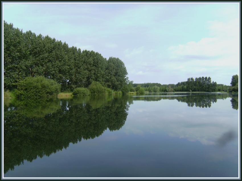 Etang de Vendeuil (02)