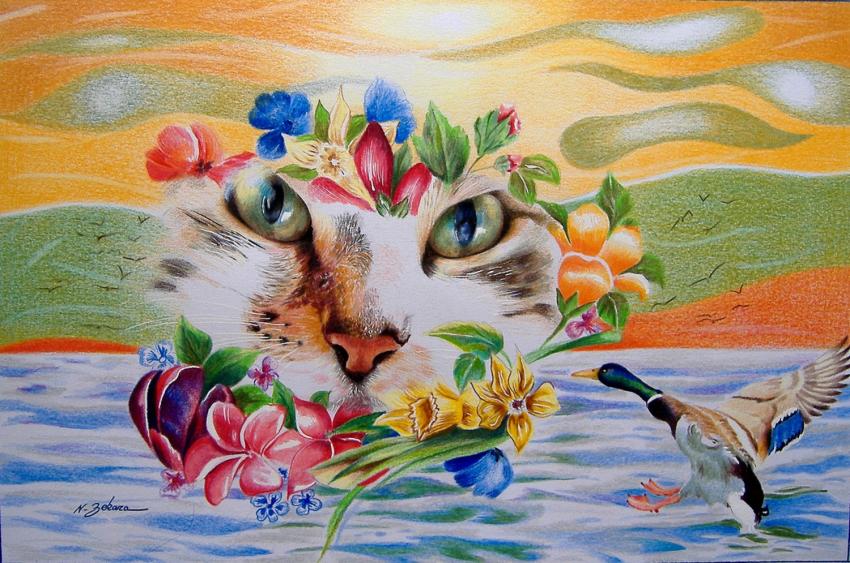 Le chat et le canard