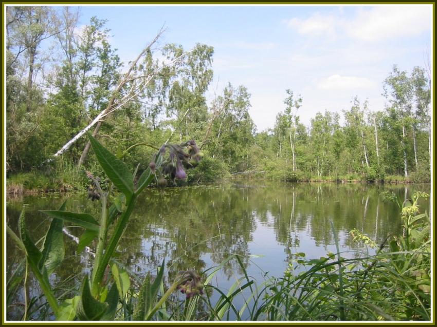 Etang  Seraucourt-le-Grand (02)