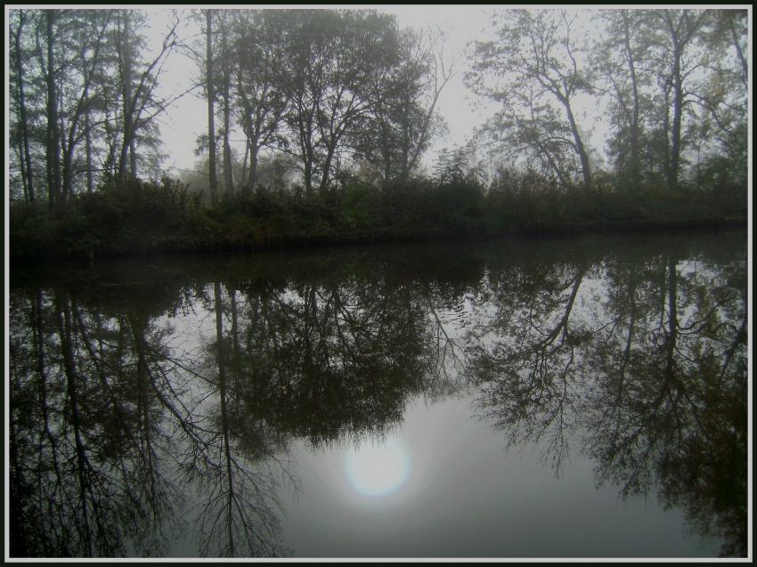 Brumes matinales le long du canal