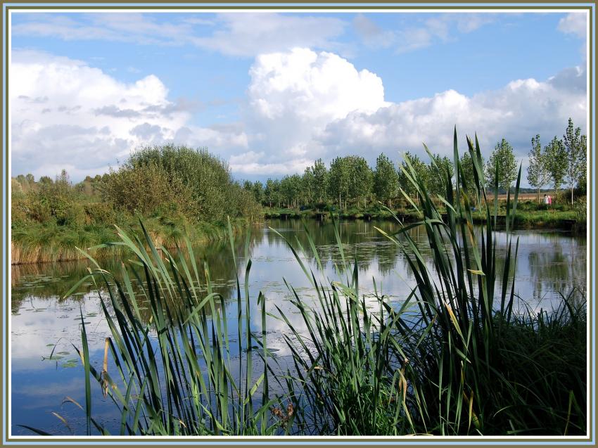 Etang de Clastres (02)