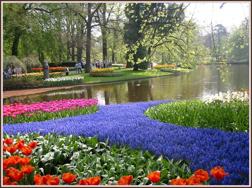 Parc  Keukhenoff (Hollande)