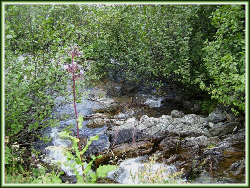 Randonne en Belledonne