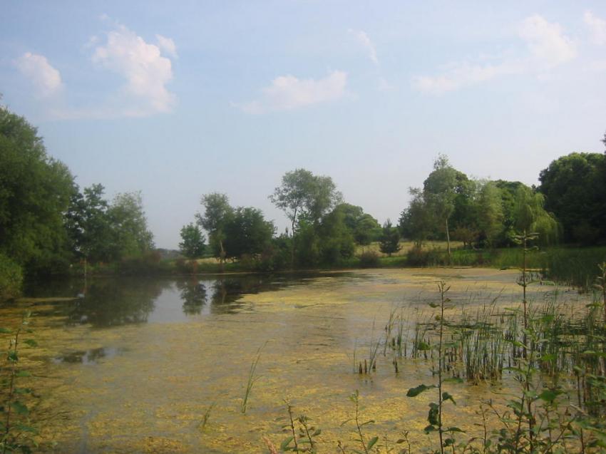 Marcages en pays breton