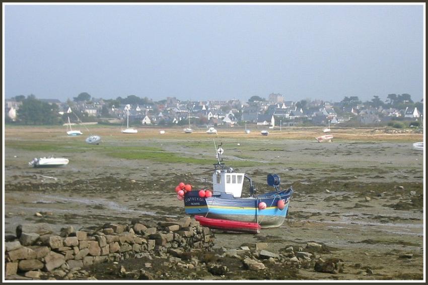 L'Ile Grande (22)  mare basse
