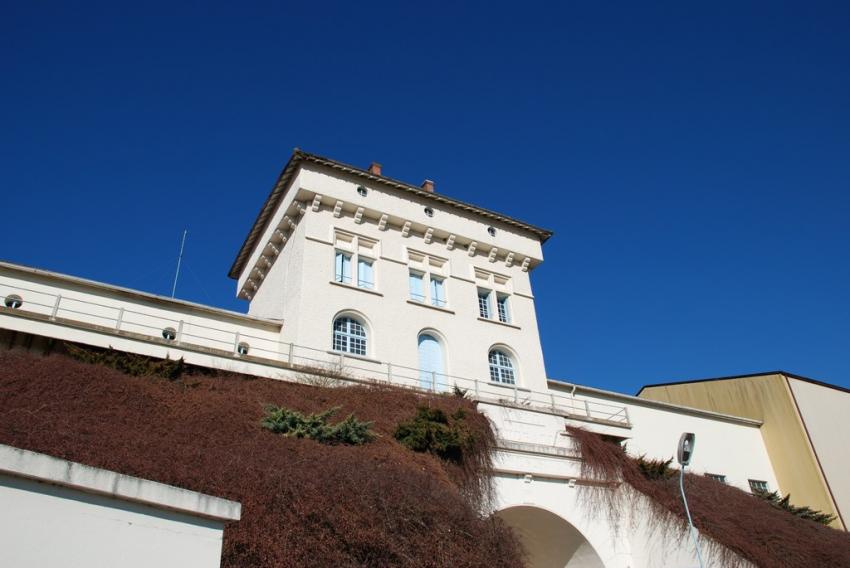 Cave des Lves et Thoumeyragues