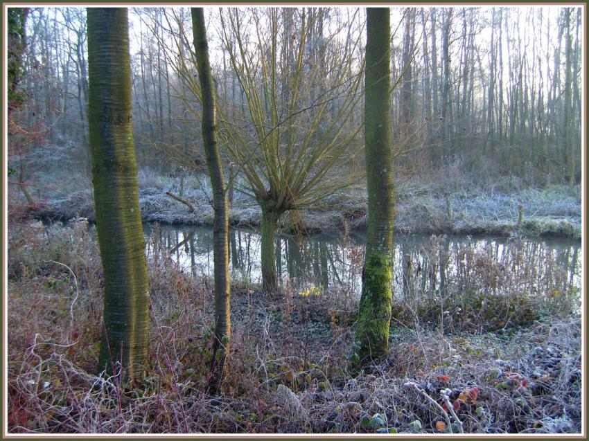 Marais d'Isle  Saint-Quentin (02)