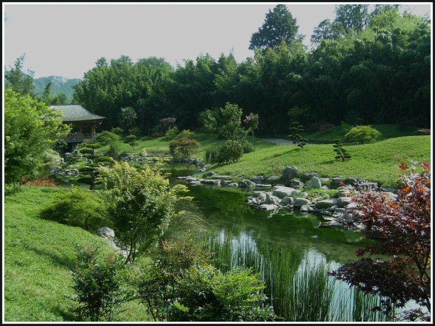 Anduze (30)- La bambouseraie