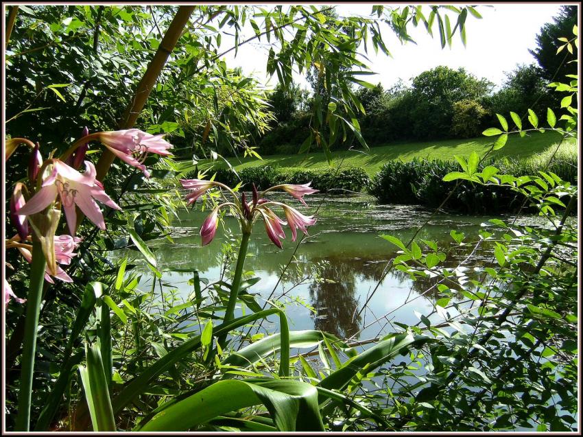 Le Temple sur Lot (47) - Marcages