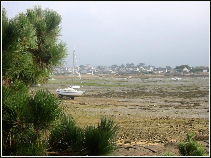 L'Ile Grande (22)  mare basse