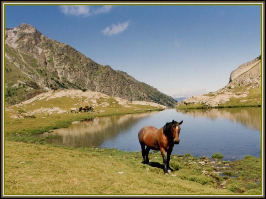 Perspective dans les Pyrnes