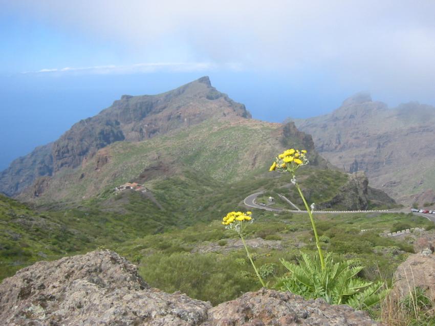 Route de Masca (Tenerife)