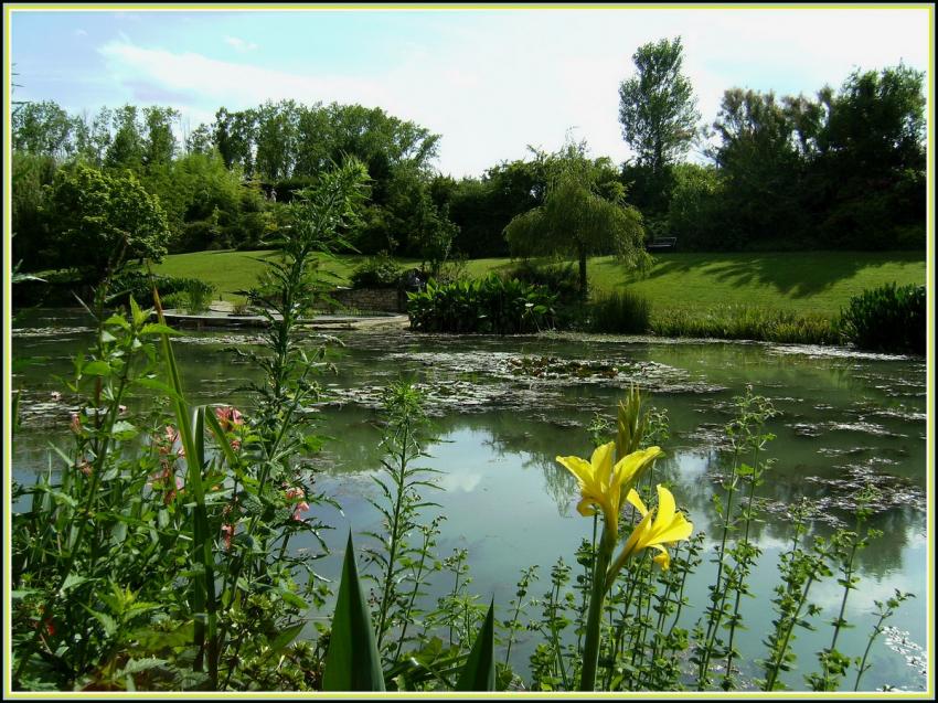 Le Temple sur Lot (47) - Marcages