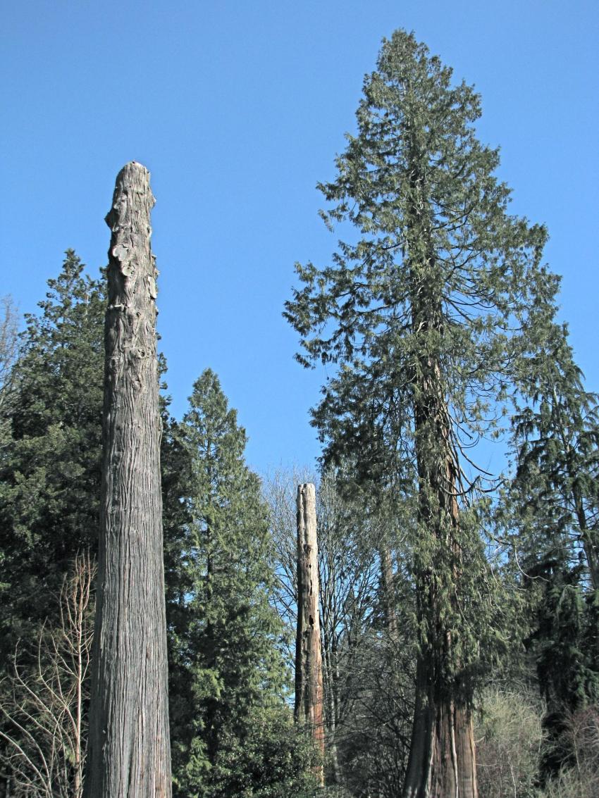Les dernier gants du parc Stanley