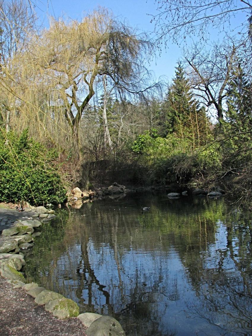 Parc Stanley prs de l'Aquarium, Vancouver