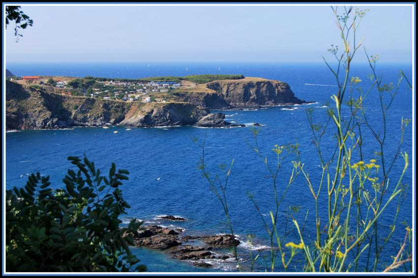 La Mditerrane  Banyuls (66)