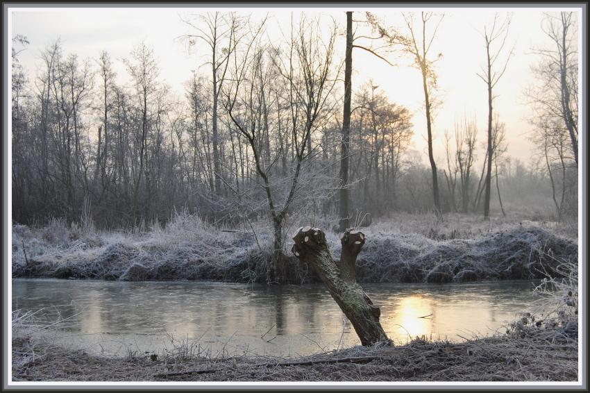 Marais d'Isle  St-Quentin (02)