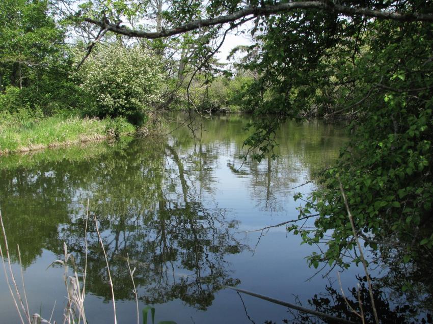 A Ladner au sactuaire d'oiseux