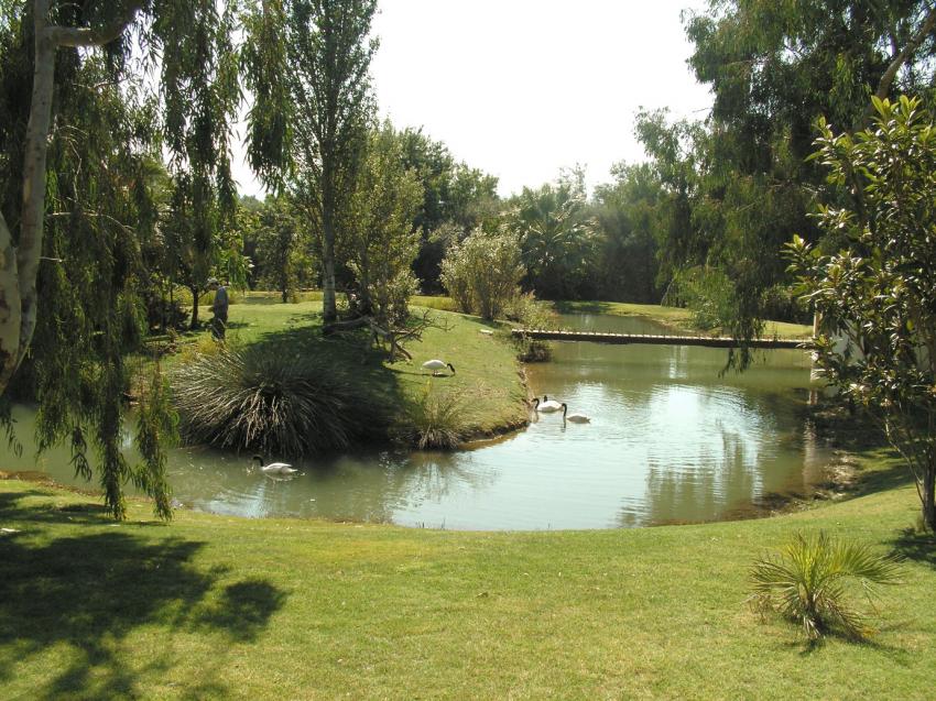 Un petit coin de paradis