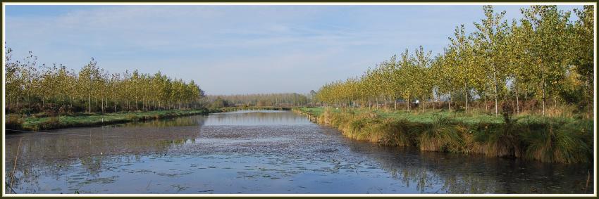 Automne prs de mon village