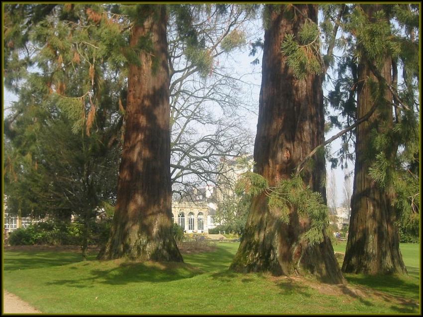 Parc dans Rennes (35)
