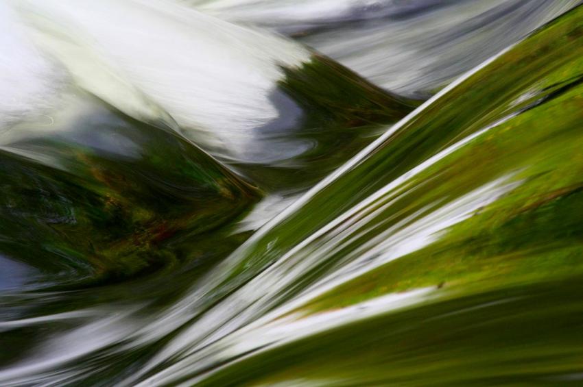 Reflets de printemps